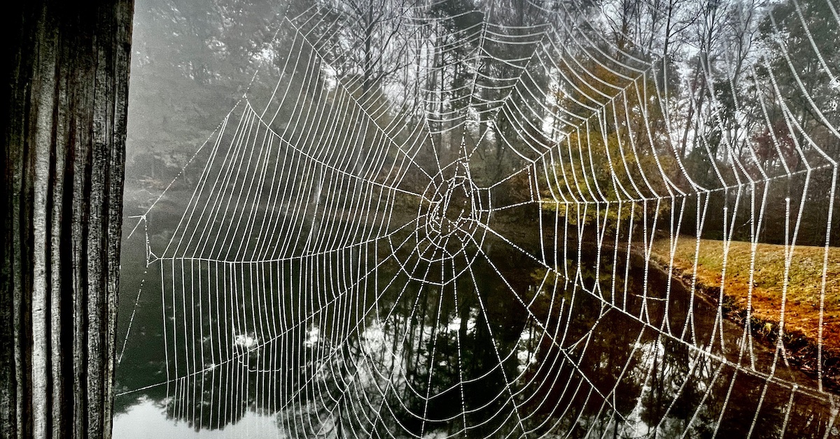 Is Control the Opposite of Love? (931) The God Journey